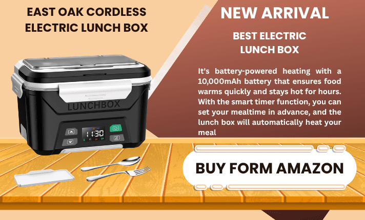 BEST ELECTRIC LUNCH BOX FOR MEN IN 2026