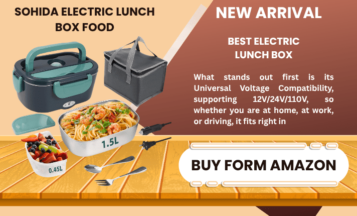 BEST ELECTRIC LUNCH BOX FOR MEN IN 2026